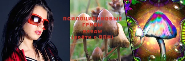 mdma Дмитриев