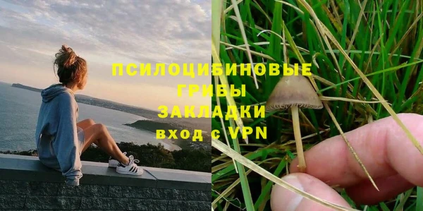 гидра Дмитровск