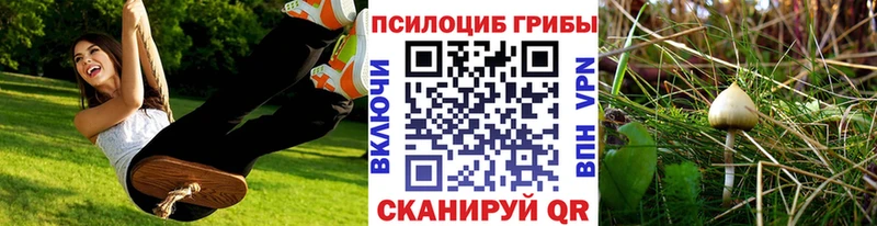 Галлюциногенные грибы MAGIC MUSHROOMS  Константиновск 
